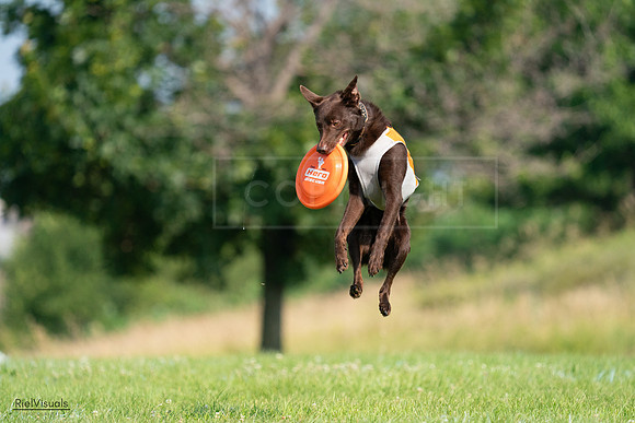 RielVisuals_20240728_095927_SJR06921