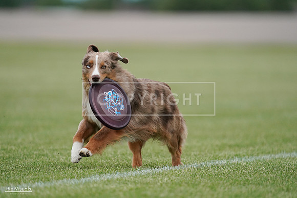 RielVisuals_20240525_163618_SJR05032