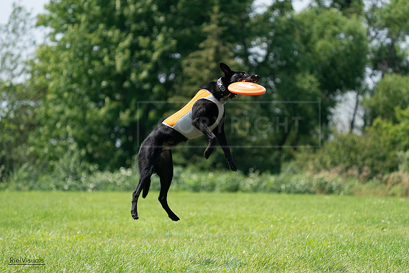 RielVisuals_20240728_131928_SJR05822