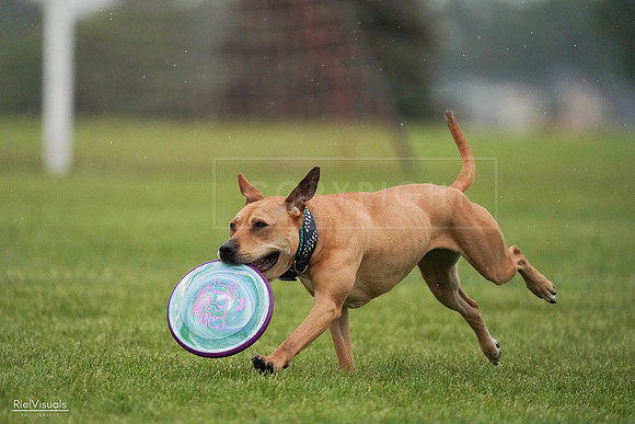 RielVisuals_20240527_094258_SJR08600