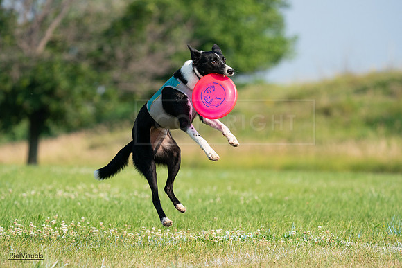 RielVisuals_20240727_094204_SJR07296