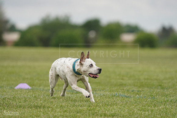 RielVisuals_20240526_134211_SJR08730