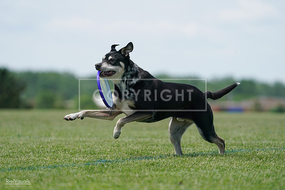 RielVisuals_20240525_123057_SJR00107