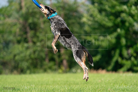 RielVisuals_20240727_094819_SJR07583