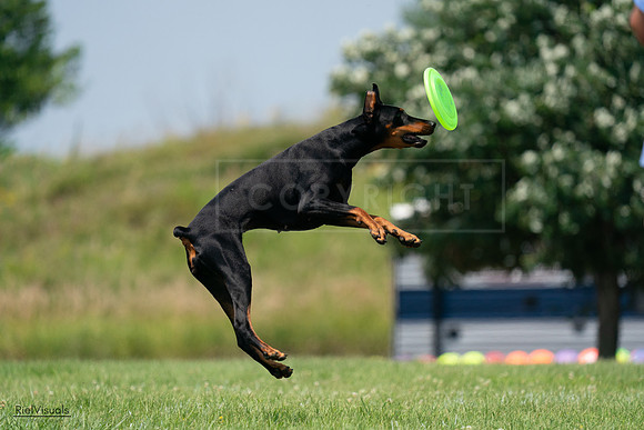 RielVisuals_20240727_135343_SJR08820