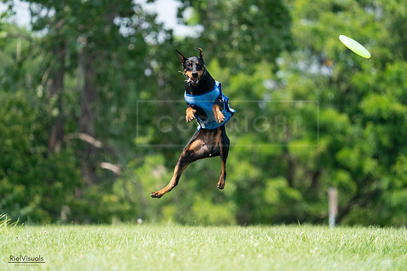 RielVisuals_20240728_134722_SJR07153