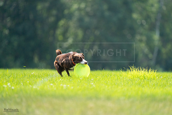RielVisuals_20240727_123202_SJR05762