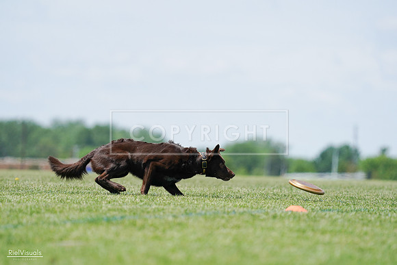 RielVisuals_20240525_120812_SJR08791