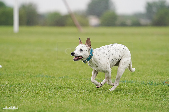 RielVisuals_20240527_105852_SJR02499
