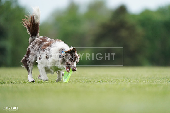 RielVisuals_20240525_161121_SJR03763
