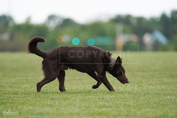 RielVisuals_20240526_090920_SJR09219