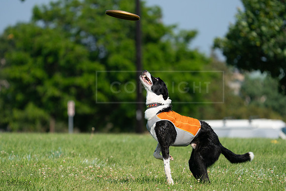 RielVisuals_20240728_101539_SJR07562