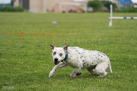 RielVisuals_20240526_090757_SJR09169