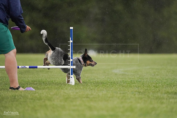 RielVisuals_20240526_094745_SJR01033