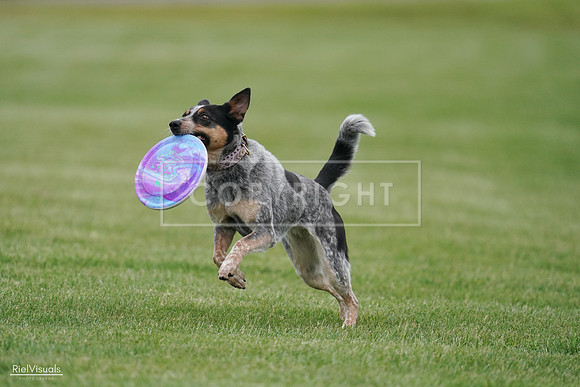 RielVisuals_20240525_170158_SJR05943