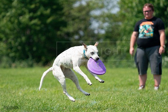 RielVisuals_20240728_120603_SJR02905
