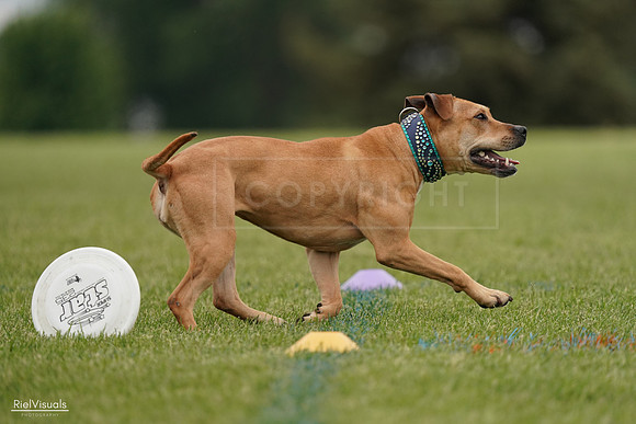 RielVisuals_20240526_135044_SJR09285