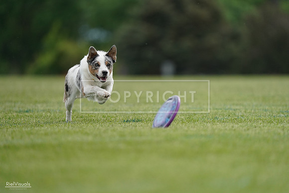 RielVisuals_20240525_161311_SJR03857