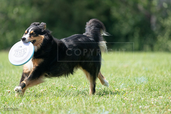 RielVisuals_20240728_143012_SJR08450