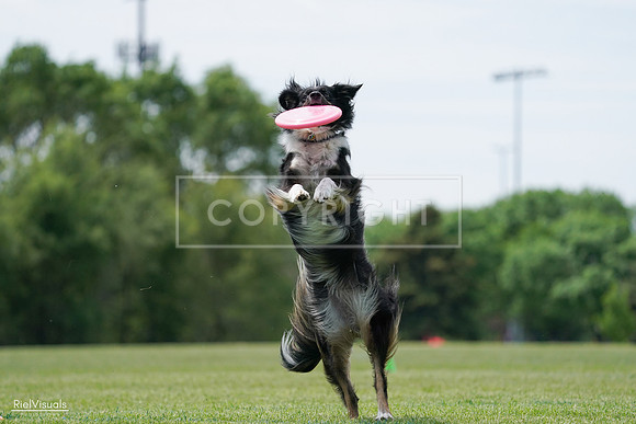 RielVisuals_20240525_123835_SJR00671