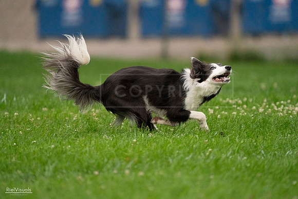 RielVisuals_20240722_192715_SJR01064