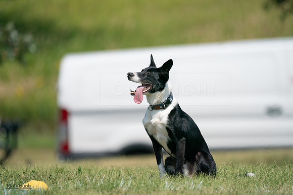 RielVisuals_20240728_115933_SJR02612