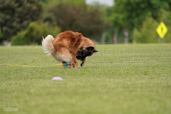 RielVisuals_20240526_134723_SJR09070