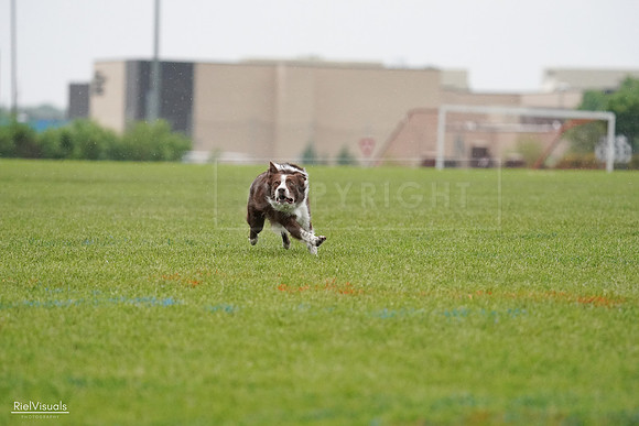 RielVisuals_20240527_100959_SJR09405