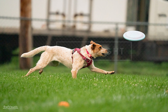 RielVisuals_20240722_201408_SJR03249