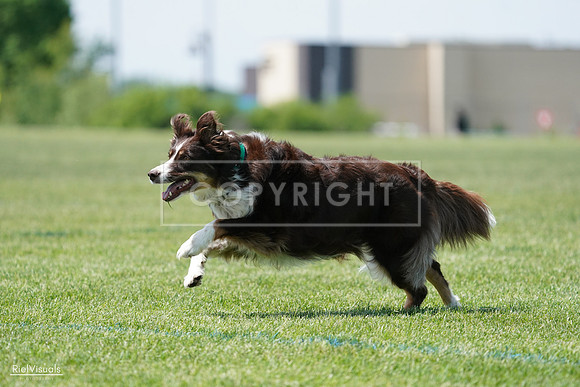 RielVisuals_20240525_120029_SJR08284