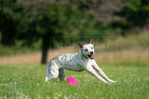 RielVisuals_20240727_095450_SJR08044