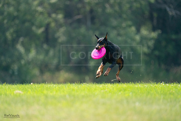 RielVisuals_20240727_121301_SJR05001
