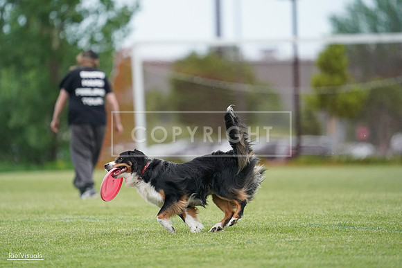 RielVisuals_20240525_164634_SJR05474