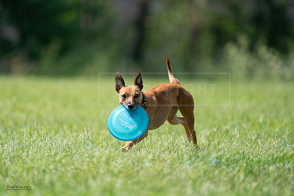 RielVisuals_20240728_150156_SJR09840