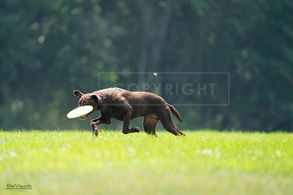 RielVisuals_20240727_123406_SJR05908