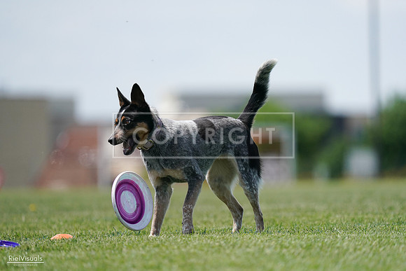 RielVisuals_20240525_122306_SJR09675