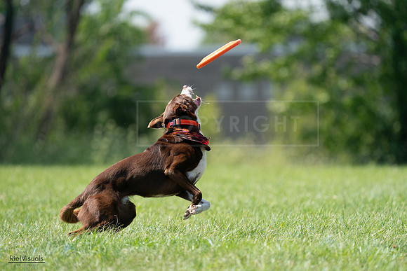 RielVisuals_20240728_151102_SJR00265