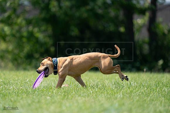 RielVisuals_20240728_150736_SJR00143
