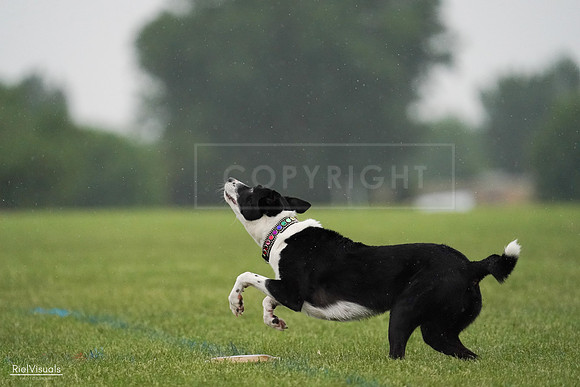 RielVisuals_20240527_094701_SJR08926
