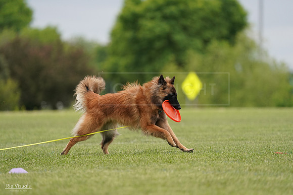 RielVisuals_20240526_134714_SJR09042
