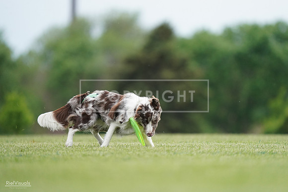 RielVisuals_20240525_161039_SJR03649