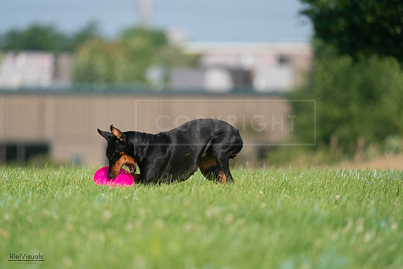RielVisuals_20240727_100531_SJR08520