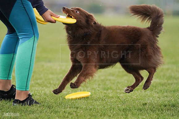 RielVisuals_20240526_094134_SJR00774