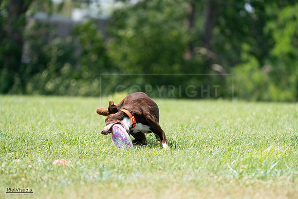 RielVisuals_20240728_144915_SJR09247