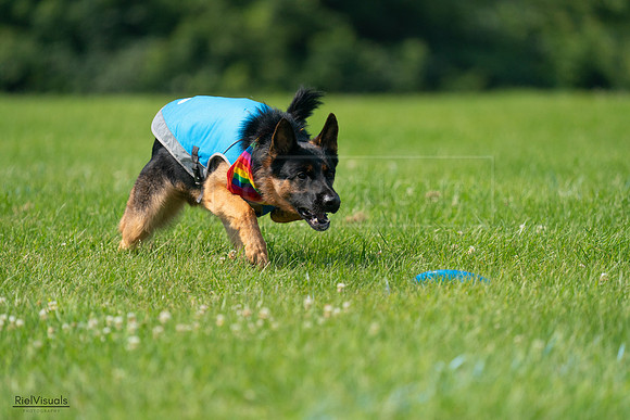RielVisuals_20240728_104209_SJR08979