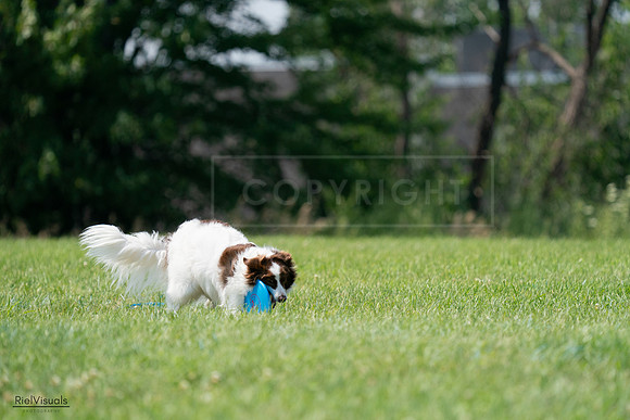 RielVisuals_20240728_145345_SJR09470