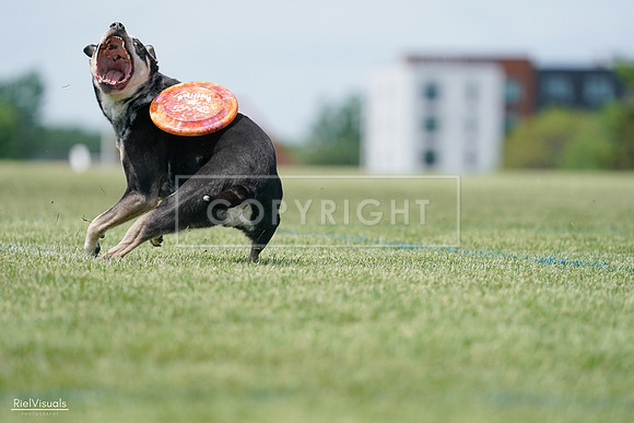 RielVisuals_20240525_123144_SJR00237