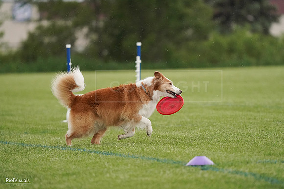 RielVisuals_20240526_093946_SJR00669