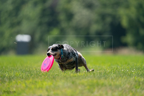 RielVisuals_20240727_120228_SJR04560