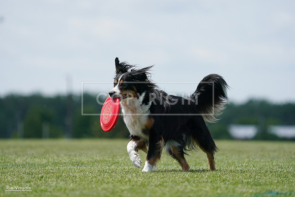 RielVisuals_20240525_122832_SJR09954
